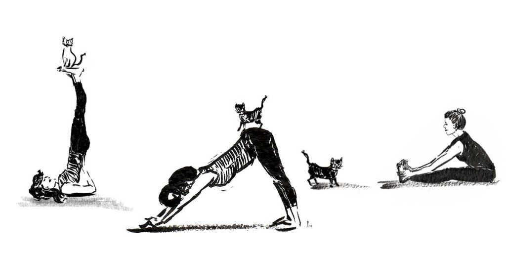 Yoga mit Katze. Balance und Vertrauen. Illustration und Text Johanna Leitner Wien