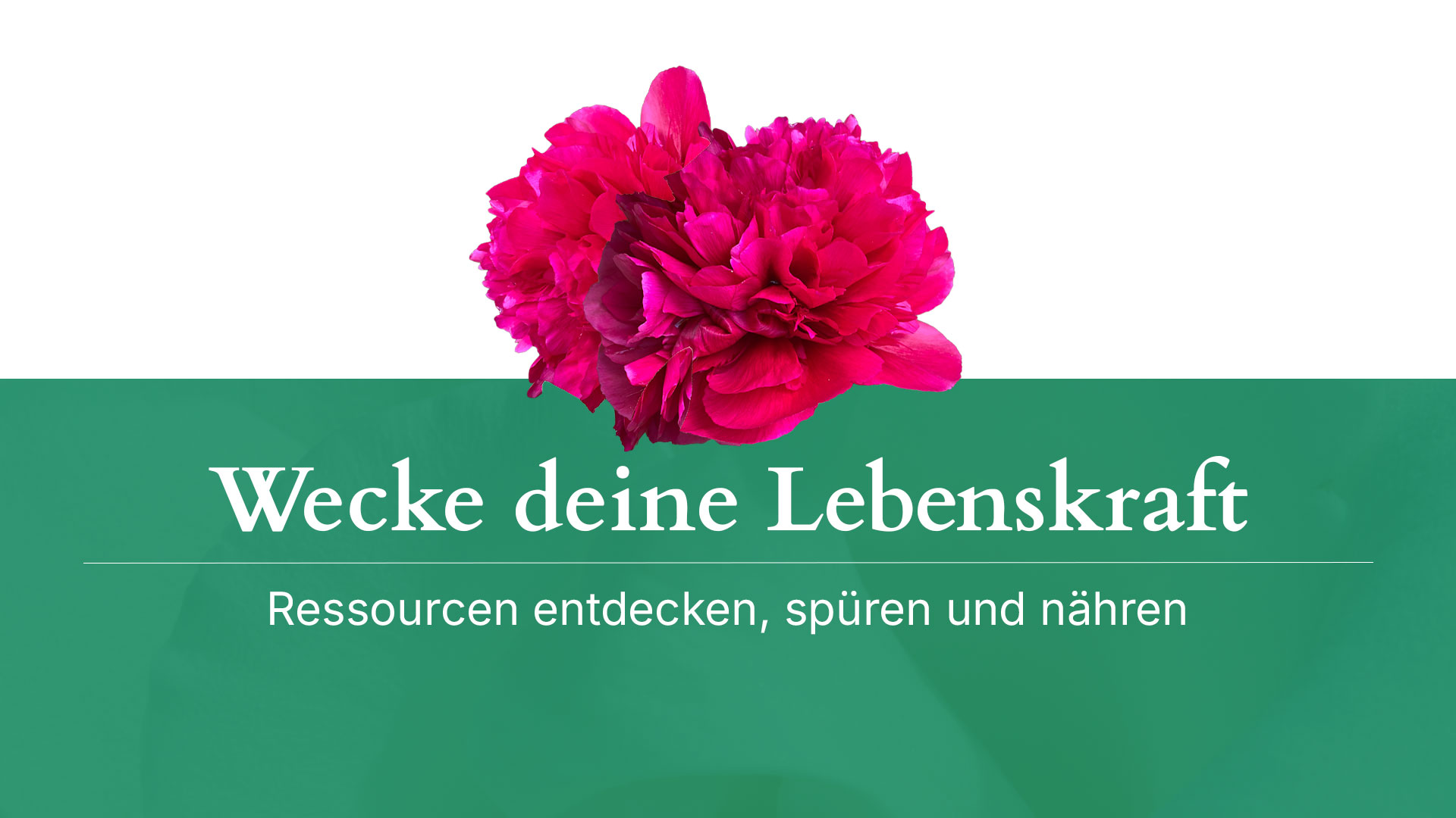 Wecke deine Lebenskraft